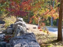 Filename=mmorin_Haunted__25_.JPG
Filesize=4155KiB
Dimensions=3648x2736
Date added=Apr 01, 2011 mmorin_Haunted__25_.JPG