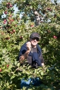 Filename=gould-hill-farm-1064.jpg
Filesize=1060KiB
Dimensions=708x1064
Date added=Oct 14, 2017 gould-hill-farm-1064.jpg