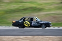 Filename=pcm-lemons-0937.jpg
Filesize=483KiB
Dimensions=1064x708
Date added=May 06, 2012 pcm-lemons-0937.jpg