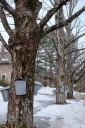 Filename=pcm-parkers-1311.jpg
Filesize=929KiB
Dimensions=709x1064
Date added=Mar 23, 2014 pcm-parkers-1311.jpg